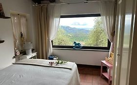 La Ghiandaia Monteggiori